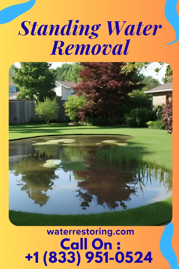 Standing Water Removal in Lindenhurst, IL